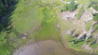 Wood Lake trout stocking [upl. by Rico]