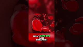 Boost Your Health How Squats Enhance Blood Circulation [upl. by Dahaf634]