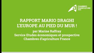 Rapport Mario Draghi  lEurope au pied du mur [upl. by Arraeit892]