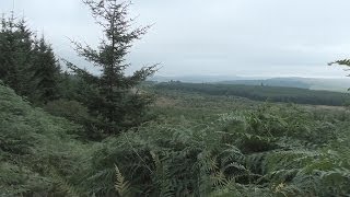 Hiking England Pennine Way  Part 19 Bellingham to Byrness [upl. by Ennazor]