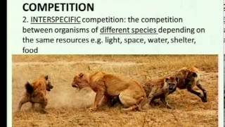 Matric revision Life Sciences Community ecology 25 Types of interactions 25 competition [upl. by Atinuhs]