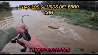 Con el WHOPPER PLOPPER tras los SILUROS del EBRO Parte 2 [upl. by Yrad]