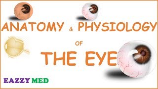 ANATOMY AND PHYSIOLOGY OF THE EYE [upl. by Xila862]