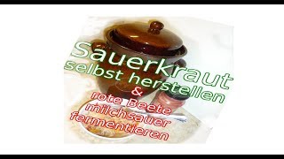 Sauerkraut selber herstellen Fermentieren in Bremen [upl. by Akcirred]