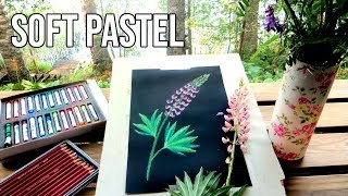 How to Draw a Lupine  Soft Pastel Flower Tutorial [upl. by Aennaej804]