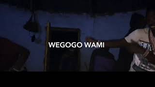 SangomaMusic Wegogo wami [upl. by Sukramaj]