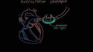 Auscultation cardiaque Souffles cardiaques bruits Partie 1 [upl. by Allemrac]