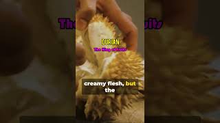 The King of Fruits Durian shorts philippines travel tourismph philippinesadventure [upl. by Ephrem]