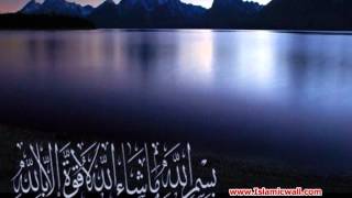 055 Surah AlRahman Full with Malayalam Translation [upl. by Humfrey286]