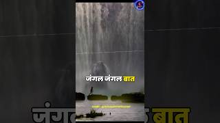 Mogli song ke peeche ka vivad mogliffoffical moglicartoon akshatgupta motivation motivational [upl. by Jaworski394]