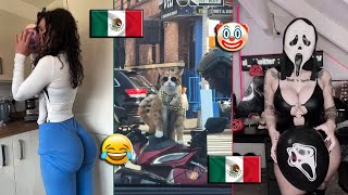 🔥HUMOR VIRAL 166🇲🇽 SI TE RIES PIERDES😂🤣  HUMOR MEXICANO TikTok  VIRAL MEXICANO [upl. by Blondy]