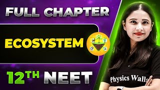 Ecosystem FULL CHAPTER  Class 12th Botany  Lakshya NEET [upl. by Umeh]