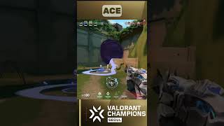 6 Kill ACE VIT Kicks Dominates vs TALON  VCT Champions Seoul valorantclips [upl. by Eisse701]