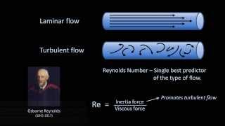 Reynolds Numbers and Turbulence Fluid Mechanics  Lesson 11 [upl. by Lunneta]