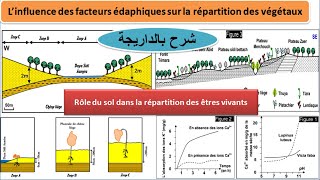 influence des facteurs édaphiques sur la répartition des végétaux TCSF شرح بالداريجة [upl. by Atonsah]