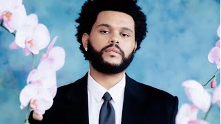 The Weeknd  Lost in the Glow  Tribute  Ballad Romantic Soul  2024 [upl. by Creamer880]