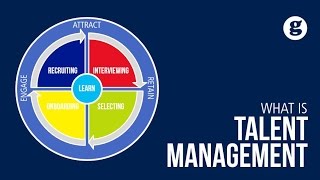 What is Talent Management [upl. by Llevron283]