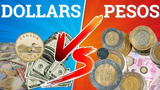 Dollars vs Pesos Mexican Vacation Showdown mexico travel dollar pesos [upl. by Ynaffit]