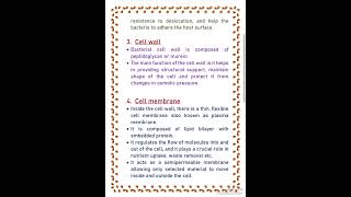 Structure of bacteria ll Botany ll Bsc Msc [upl. by Polik601]