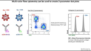 Lecture 7b Flow Cytometry [upl. by Okir]