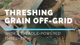 How we do Stuff Threshing Wheat with a Treadle Thresher [upl. by Nylhtac]