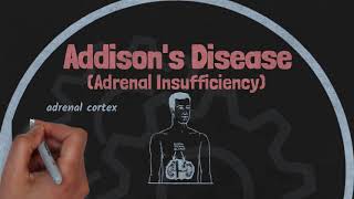 Addisons Disease in 5 Minutes for Nursing Students NCLEX Med Surg [upl. by Eirrek820]