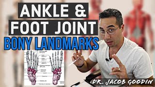 Ankle amp Foot Anatomy Bony Landmarks [upl. by New597]