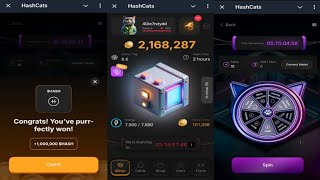 HashCats  New Feature Helps You Earn More HASH Coins Faster  Come Join Me  Telegram Crypto Bot [upl. by Jordanson]