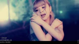 GARNiDELiA  Désir Full version [upl. by Ayomat]