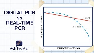 Digital PCR vs Realtime PCR  Ask TaqMan 30 [upl. by Aihsiek]