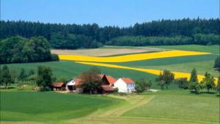 Raschhofer Terzett  Oberinnviertler Roas [upl. by Lal]