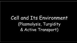 Cell and Its Environment  Plasmolysis Turgidity and Active Transport [upl. by Aenad]