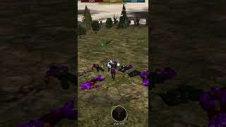 Hea Temenua and Hea Karenua  Asherons Call Gameplay Short [upl. by Romulus]