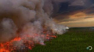 Filming a Raging Forest Fire  North America [upl. by Fidelio]