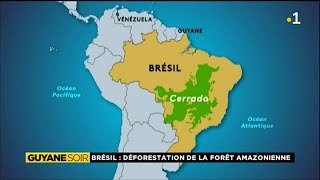 Brésil Déforestation de la forêt amazonienne [upl. by Wickman]