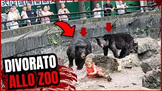 QUESTA BAMBINA È STATA MANGIATA VIVA DAGLI ORSI DOPO AVER CADUTA NELLA ZONA DELLO ZOO [upl. by Akinehc]