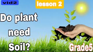 Science grade 5 first term 2025 concept 1 lesson2 Do plant need soil درس سنه خامسه ابتدائي شرح [upl. by Warring173]