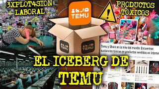 EL LADO TURBIO DE TEMU  EL ICEBERG DE TEMU [upl. by Utir]