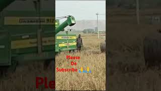 🙏 agriculture vlogs [upl. by Anide]