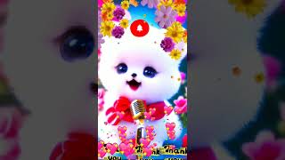 cute cat islam cute love song [upl. by Nayar]