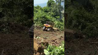 Advantages of the D6R XL Bulldozer in Clearing Oil Palm Fields in the Mountains [upl. by Erskine]