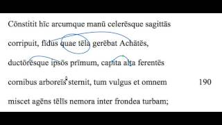 Aeneid 1187190 translation [upl. by Cirdahc]