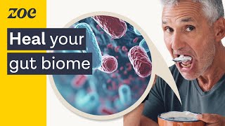 Gut microbiome testing The secrets of your gut  Profs Tim Spector and Nicola Segata [upl. by Gypsie]