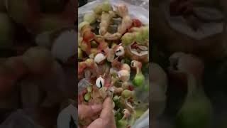 MANILA TAMARINDCAMACHILE FRUIT sweet healthy shortvideo short [upl. by Edmunda]