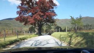 Scenic Fall Drive in the Great Smoky Mountain National Park  Gatlinburg Tennessee alongtheway [upl. by Dusty]