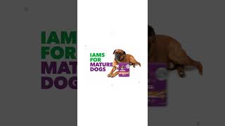 Best Quality Dog Food [upl. by Lenej]