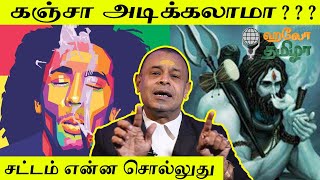 Is taking Marijuana legal Advocate Advice  Petta Vijay Rj Saba Hellotamizha [upl. by Assyl]