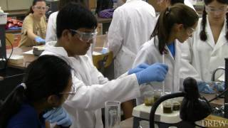 NJs brightest teens study science at Drew [upl. by Ledba654]