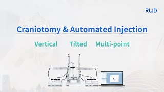 Automated Stereotaxic Instrument  craniotomy and automated injection [upl. by Elmira529]