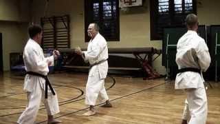 Kumite Training 1 w Sensei Gyula Büki 7th Dan Shotokan Karate [upl. by Astor]